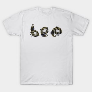 Alphabet Yoga Bee T-Shirt